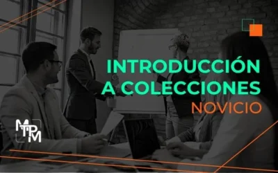 Introducción A Colecciones (Novicio)
