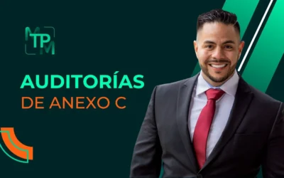 Auditorias de Anexo C – IRS No. RIFYB-T-00021-23-S